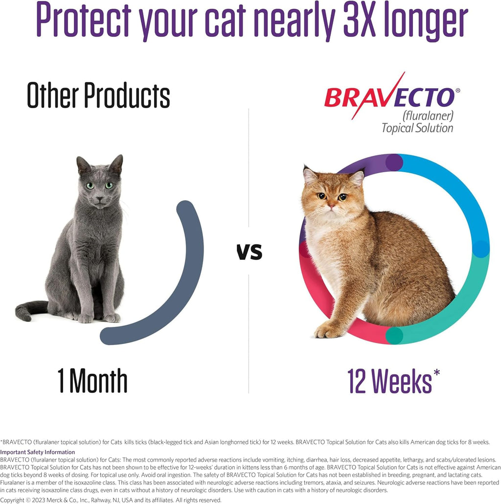 Close up of Bravecto feline topical solution dosage information