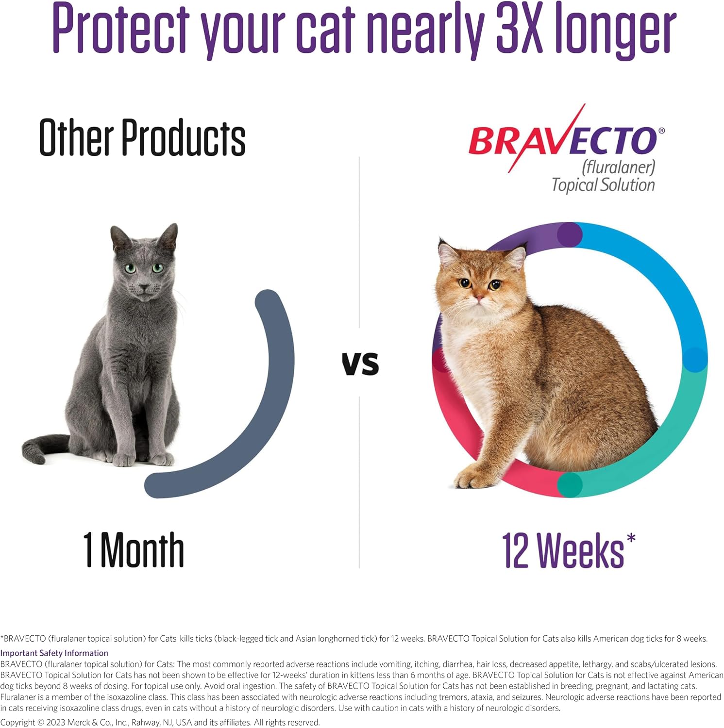 Close up of Bravecto feline topical solution dosage information
