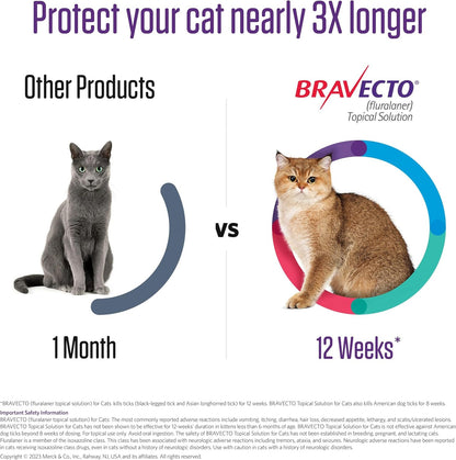 Close up of Bravecto feline topical solution dosage information