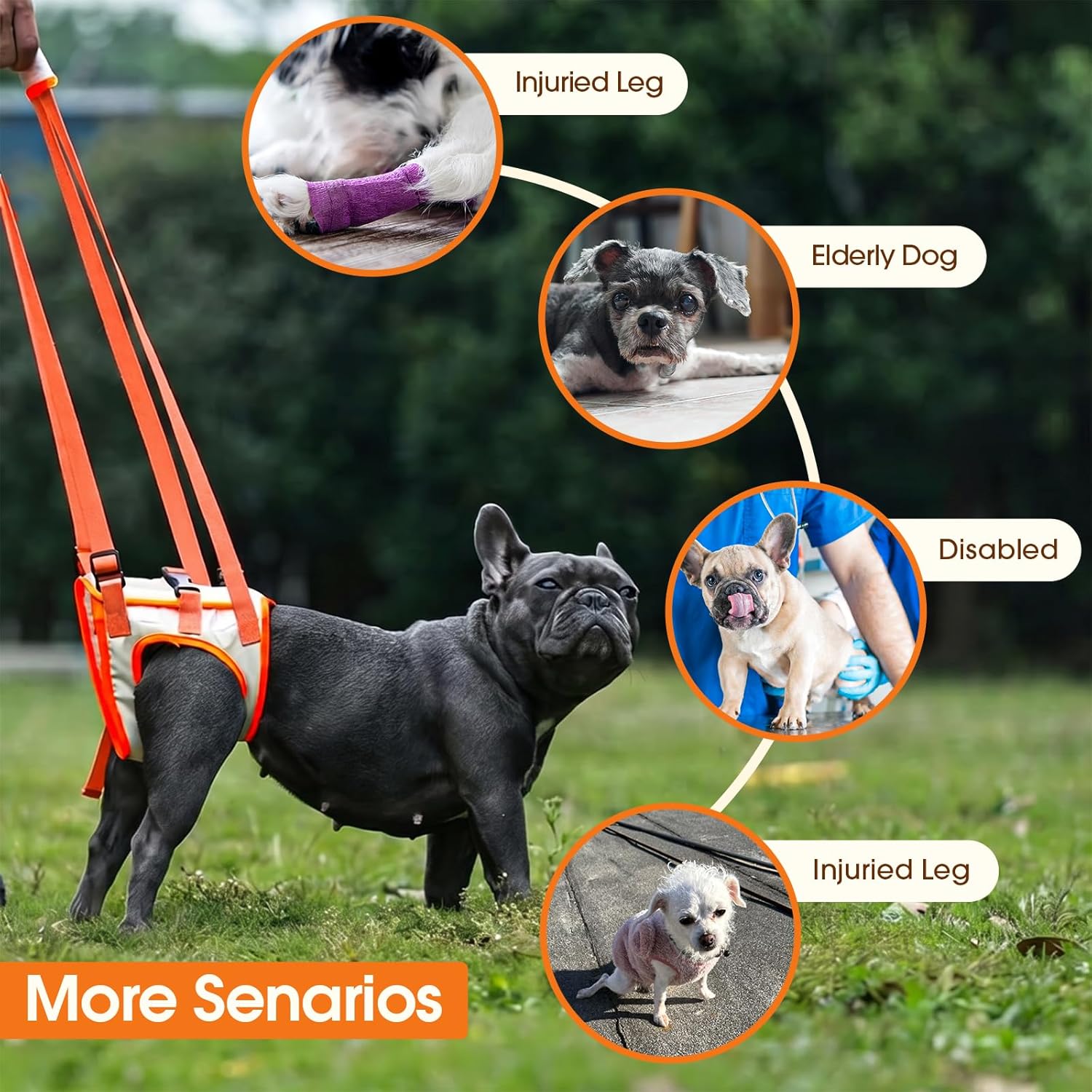 Close up of hook and loop fasteners on dog harness