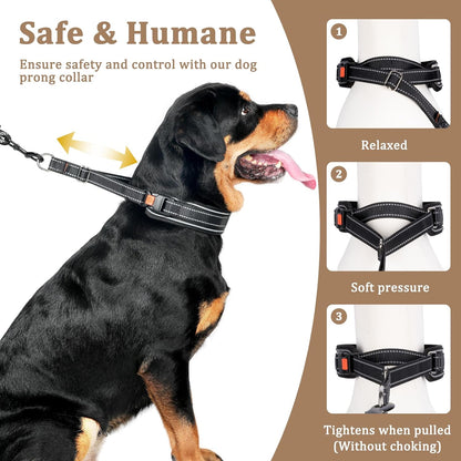Diagram showing correct high neck placement for Mayerzon collar