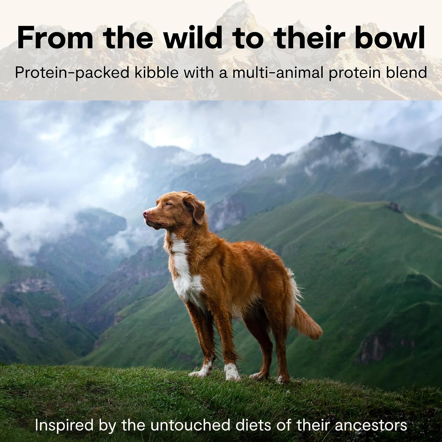 Open Farm RawMix protein packed dog food back packaging showing ingredients list