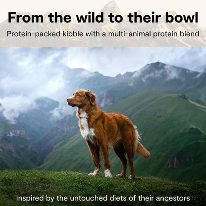 Open Farm RawMix protein packed dog food back packaging showing ingredients list