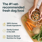Healthy human grade chicken dog food ingredients detail