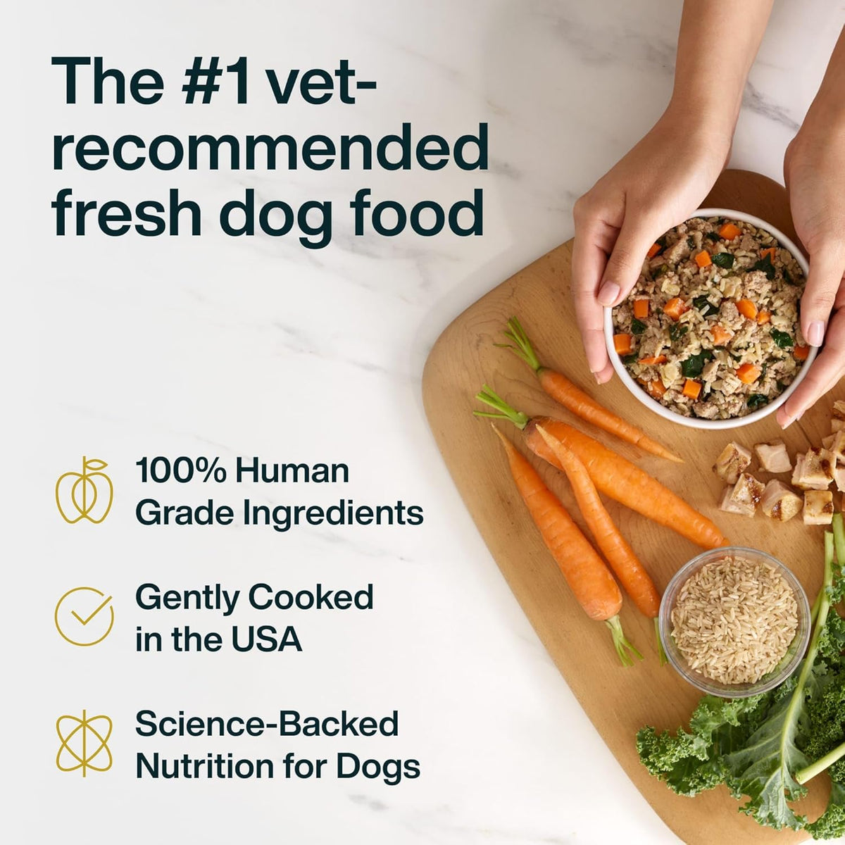 Healthy human grade chicken dog food ingredients detail