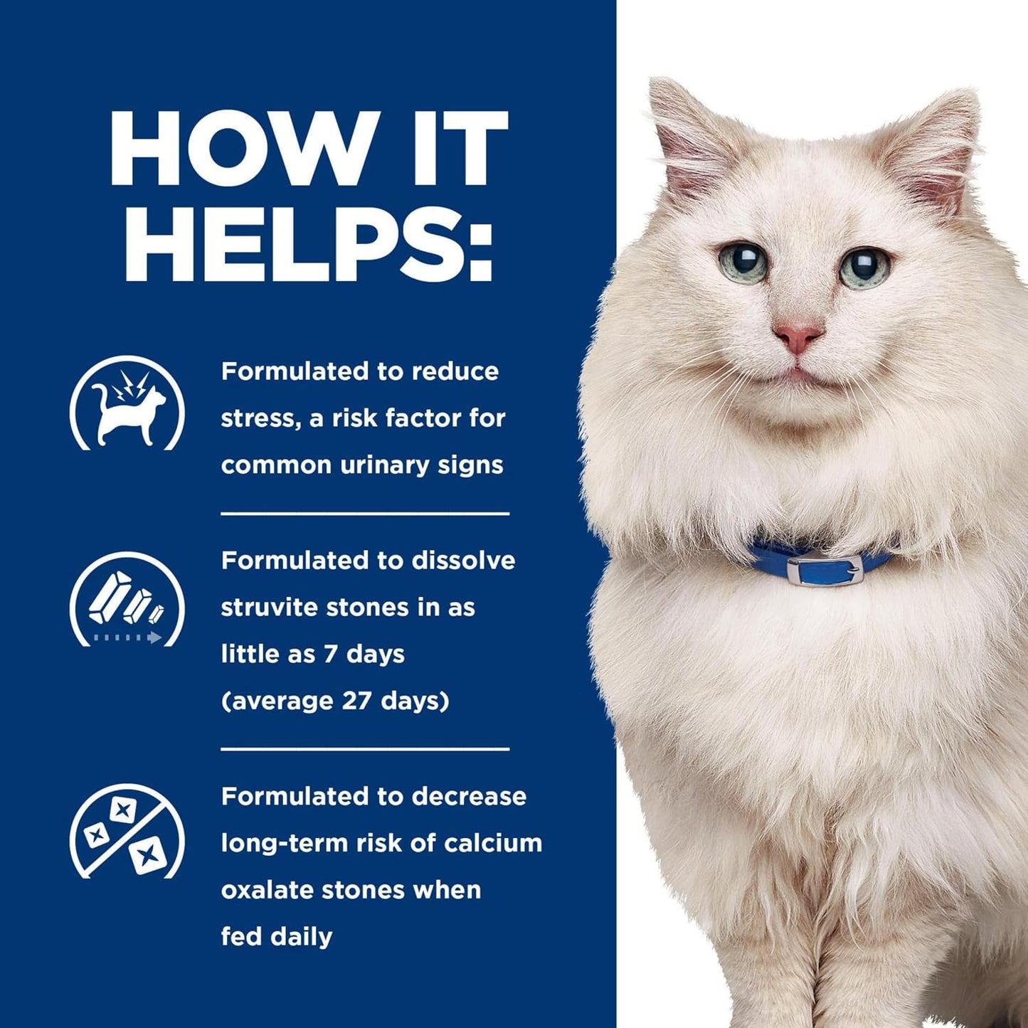 Rudra Retails imported clinical feline diet for struvite stone dissolution and kidney support