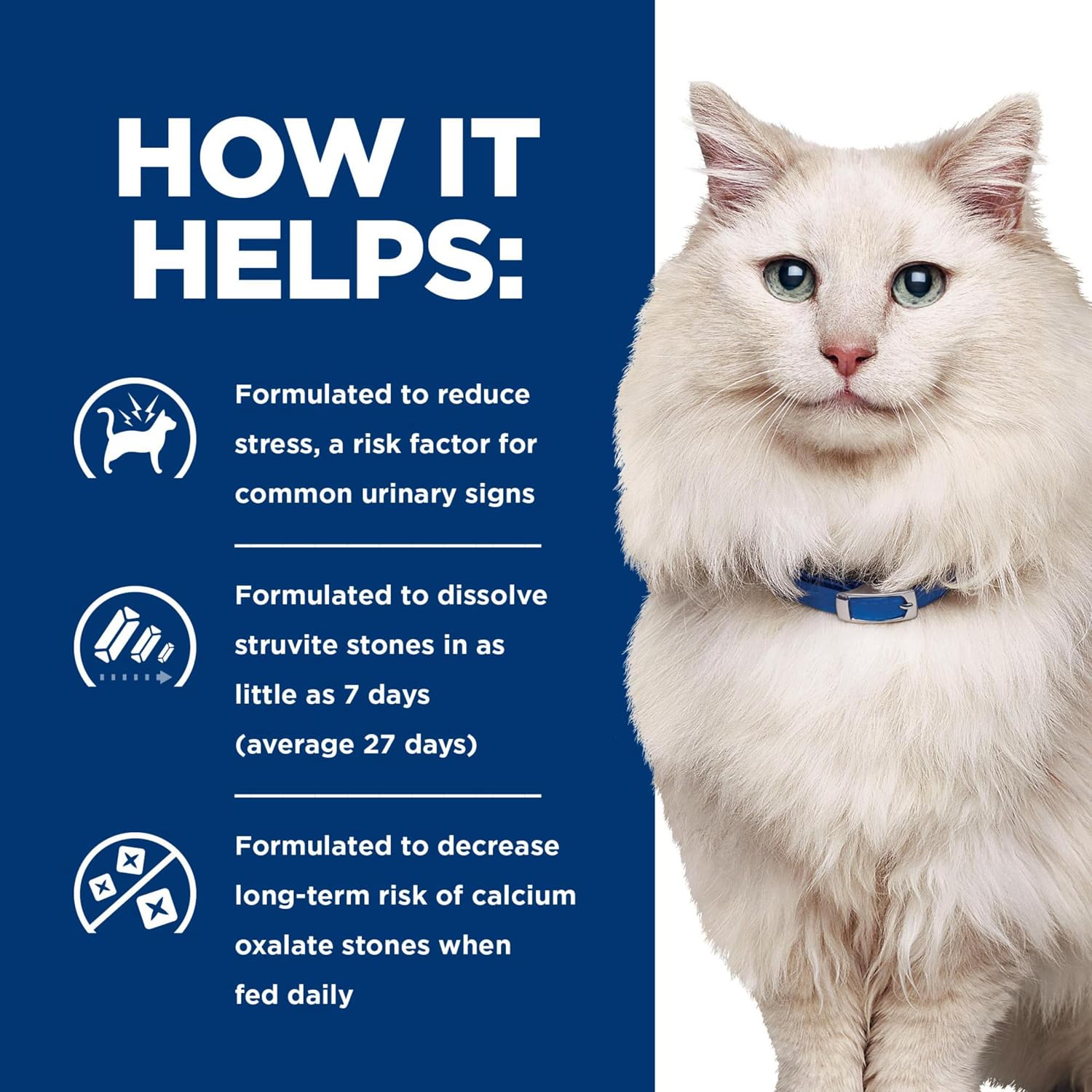 Rudra Retails imported clinical feline diet for struvite stone dissolution and kidney support