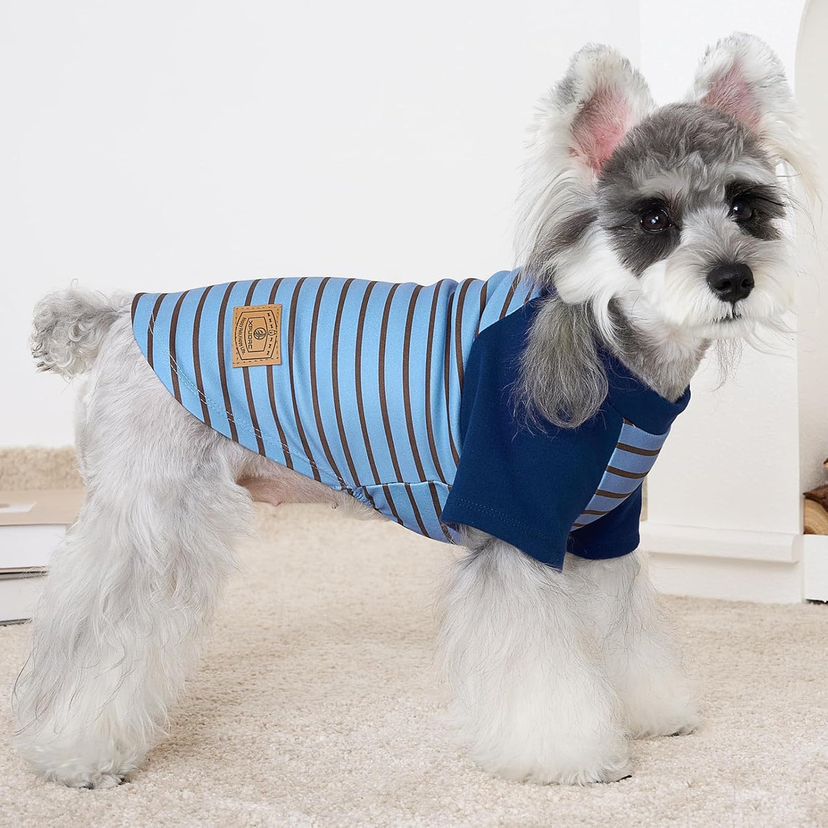 XPUDAC elastic dog clothes close up view texture