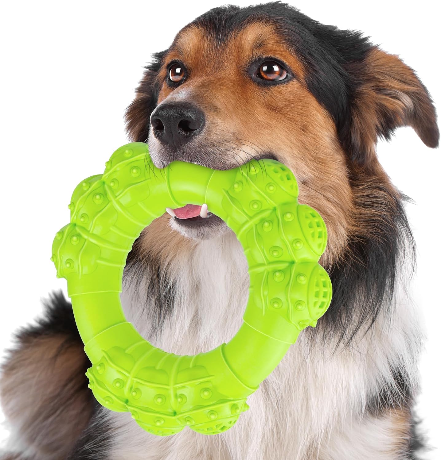 Indestructible Dog Chews - Super Duty Chew Toys for Aggressive Dogs, Puppy Teething Relief & Interactive Play - Image 14