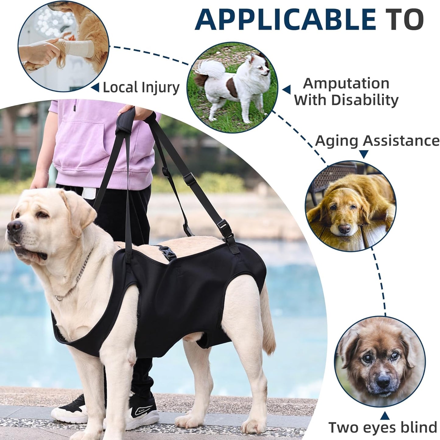 Side view of Eledume canine support rehabilitation sling