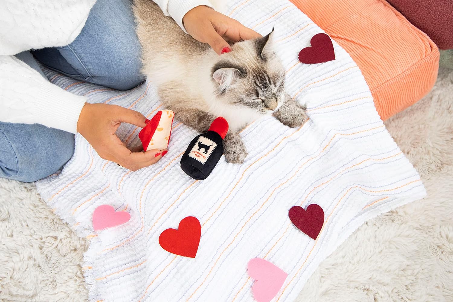 Domestic indoor cat playing with Pearhead wine and cheese plush set