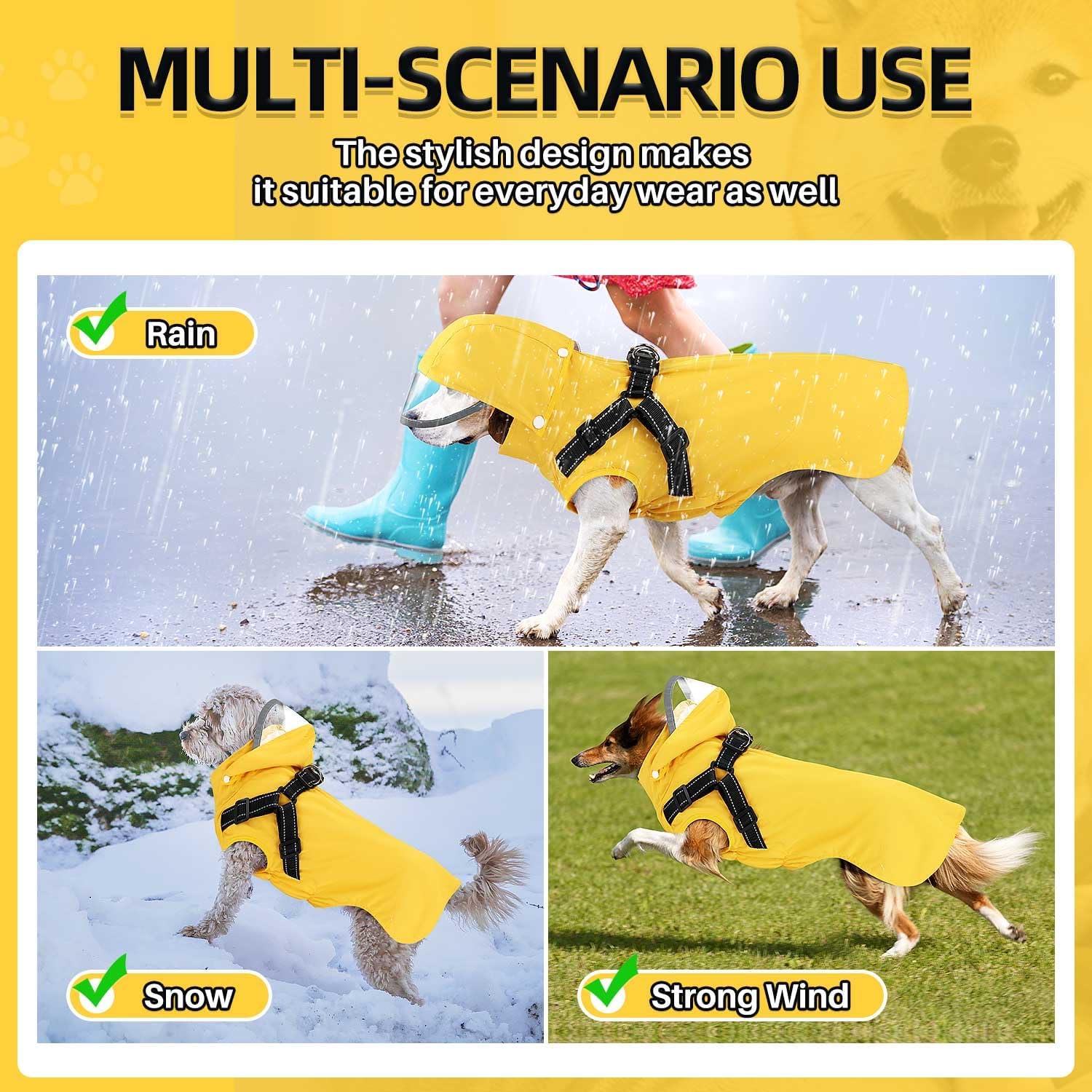 Lukovee medium sized dog raincoat being worn by a puppy on a rainy sidewalk walk
