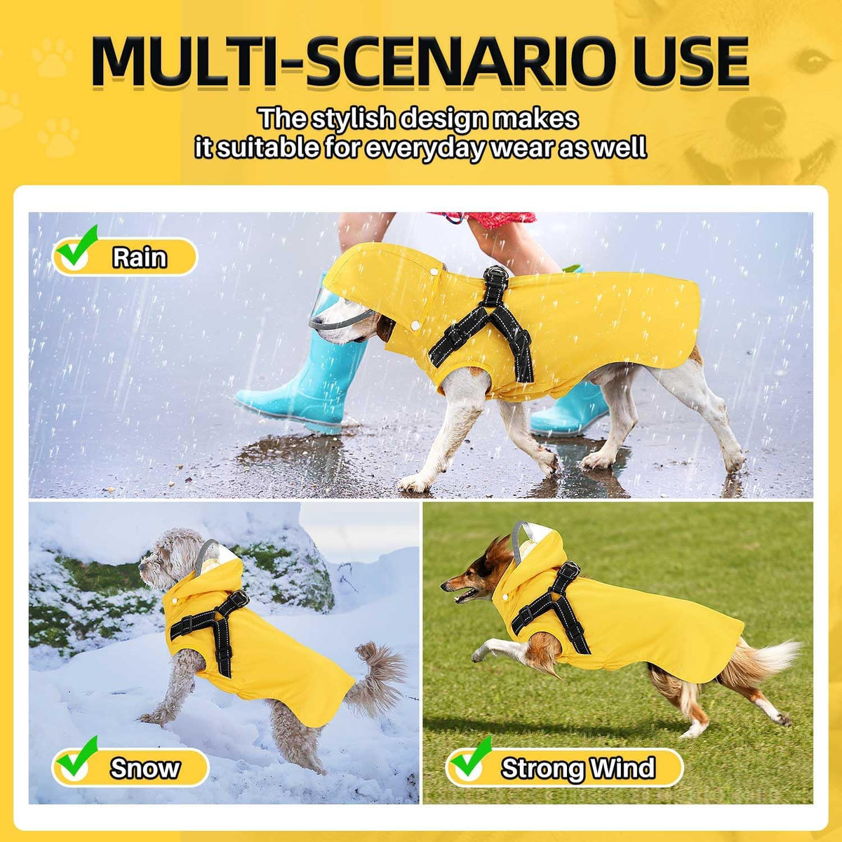Lukovee medium sized dog raincoat being worn by a puppy on a rainy sidewalk walk