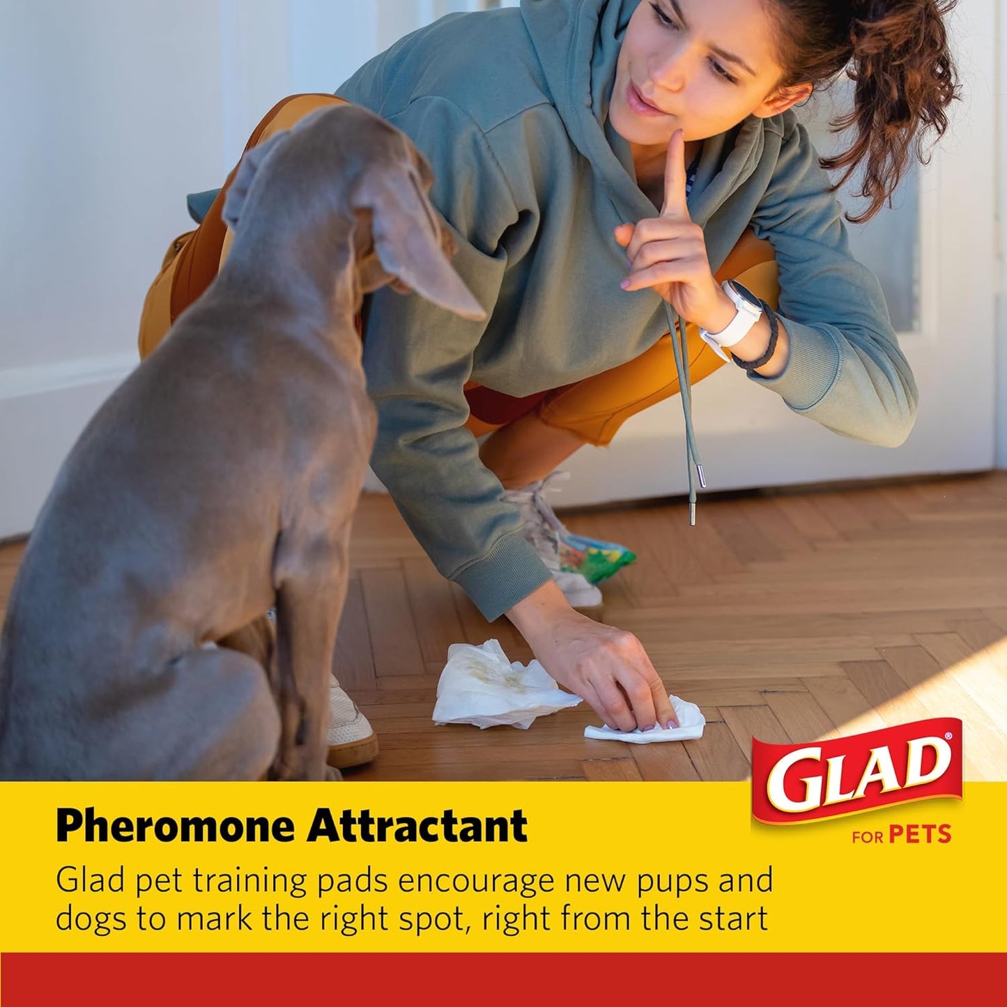 Glad heavy duty pet training pads packaging highlighting six cups liquid absorption