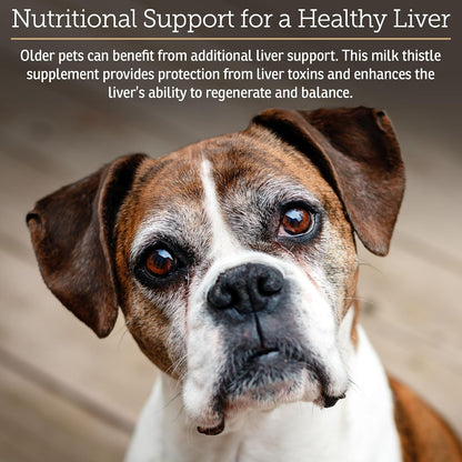 Rx Vitamins Liquid Hepato supplement bottle showcasing bacon flavor label