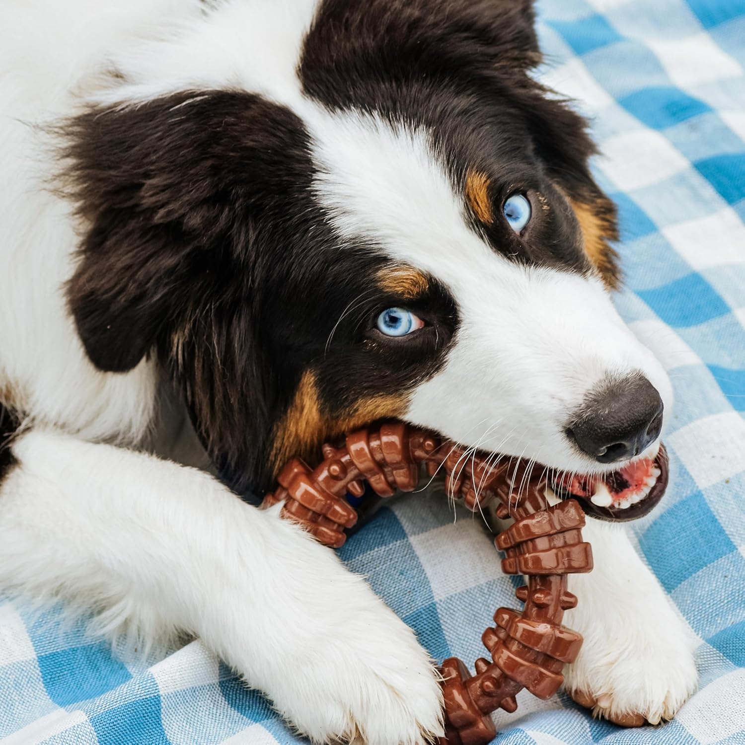 Extra large nylon dog chew ring with ridges for cleaning teeth.