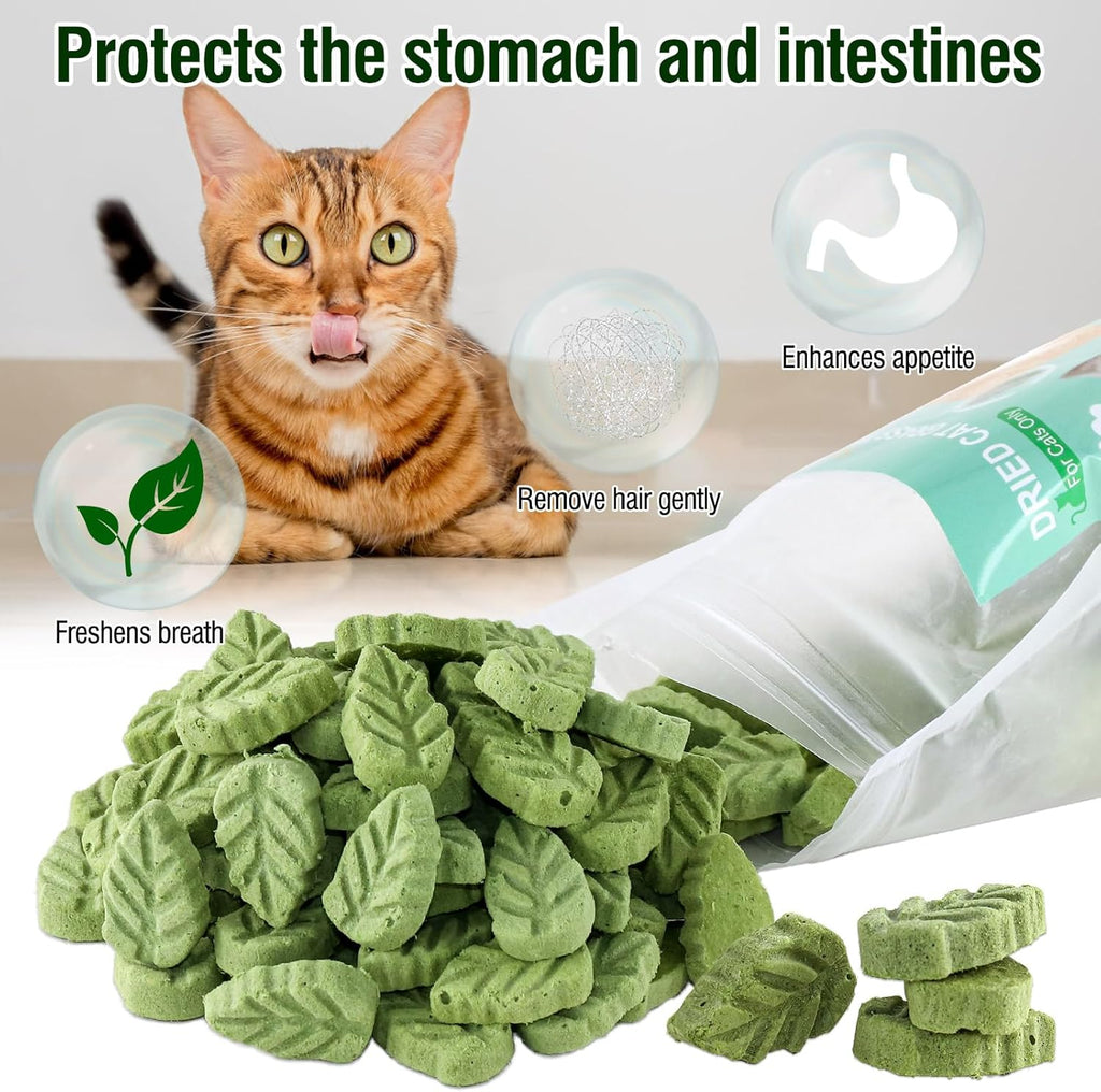 Premium cat grass dental chew sticks for teeth cleaning
