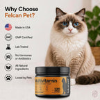 Felcan Pet nutritional cat food mixer showing feeding instructions for pet care