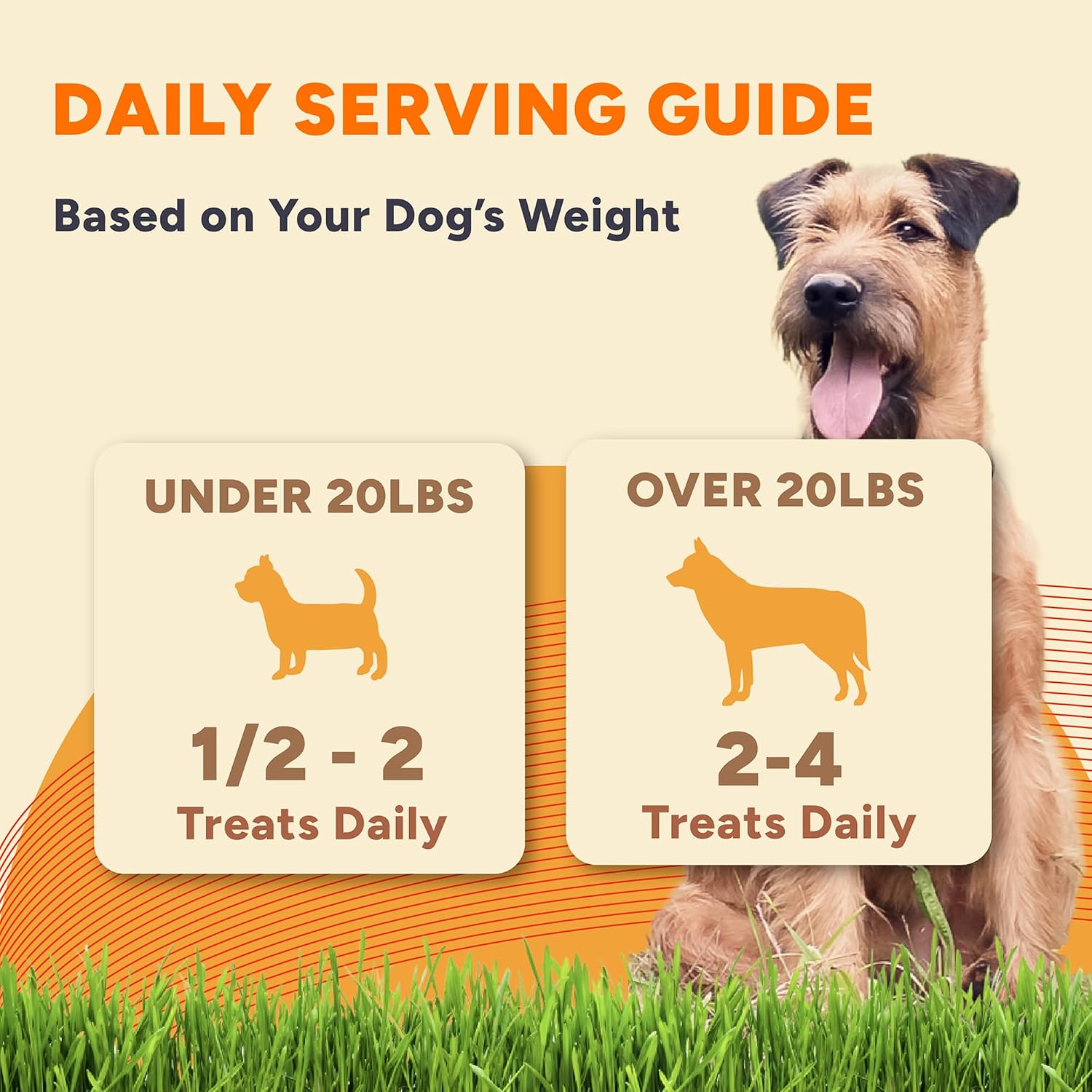 Single ingredient sweet potato chews for dog digestive health