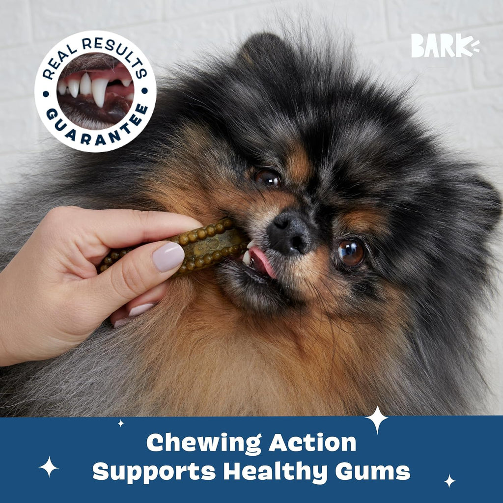 Barkbox Bright dental chews packaging back side with ingredient details
