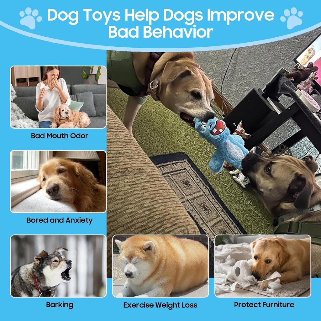 Five unique animal character squeaky toys for pet training.