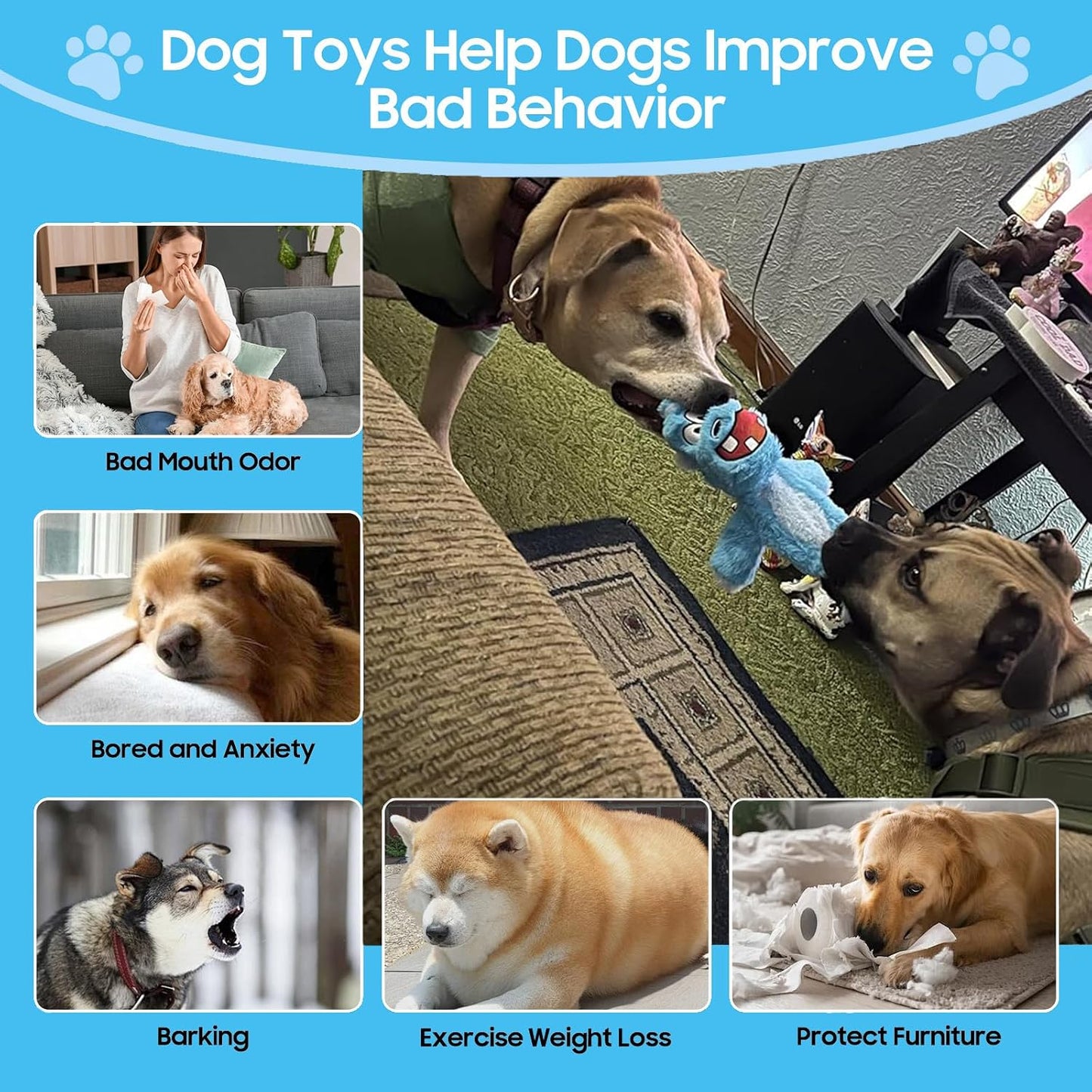 Five unique animal character squeaky toys for pet training.