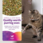 SmartyKat catnip bubbles bottle showing the label and branding details