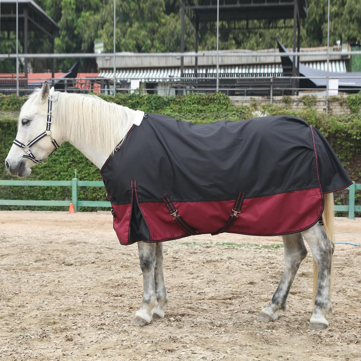 Breathable outdoor horse blanket with adjustable elastic leg straps