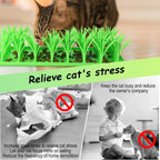 Palksky silicone pet enrichment mat for cats and dogs overhead view