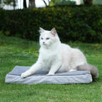 Top down view of 20 by 16 inch Petvolve cat bed