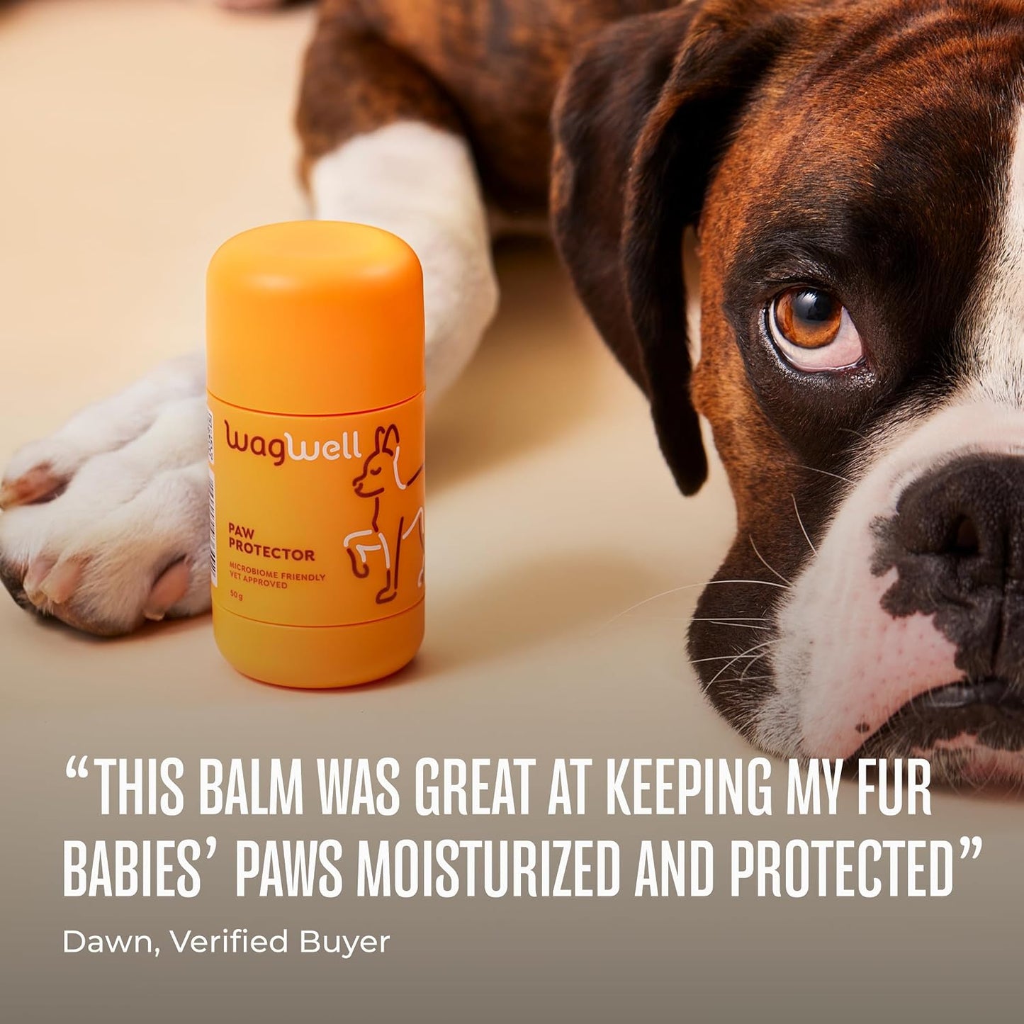 WagWell Paw Protector all-weather protection icon