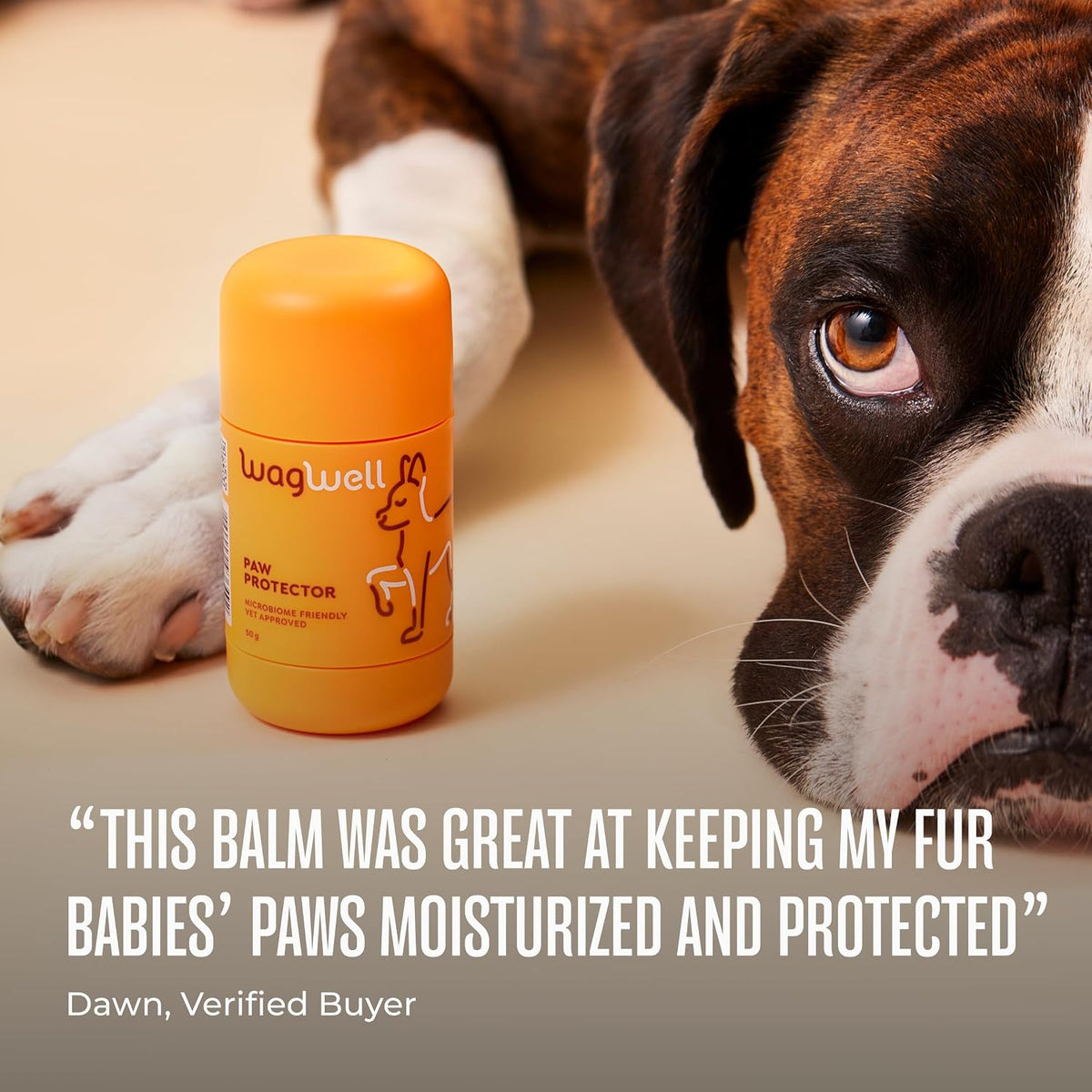 WagWell Paw Protector all-weather protection icon