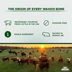 Premium beef femur bones for small and medium dogs