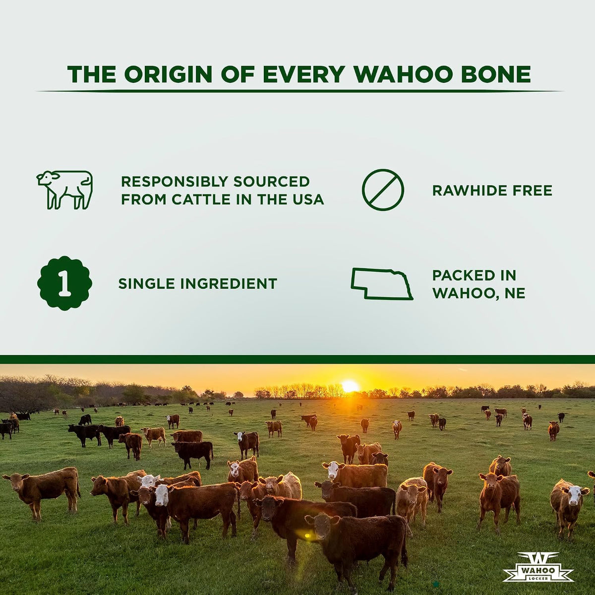 Premium beef femur bones for small and medium dogs