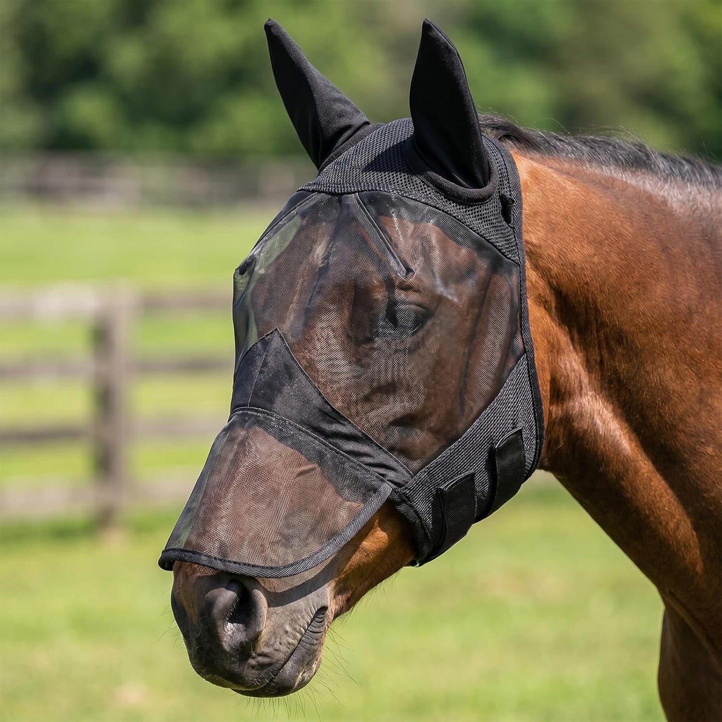 Fly Mask with Ears for Horses Soft Stretchy Mesh Horse Face Cover, Breathable Eye Protection Fly Masks UV Protective Horse Supplies (Black, L) - Image 11