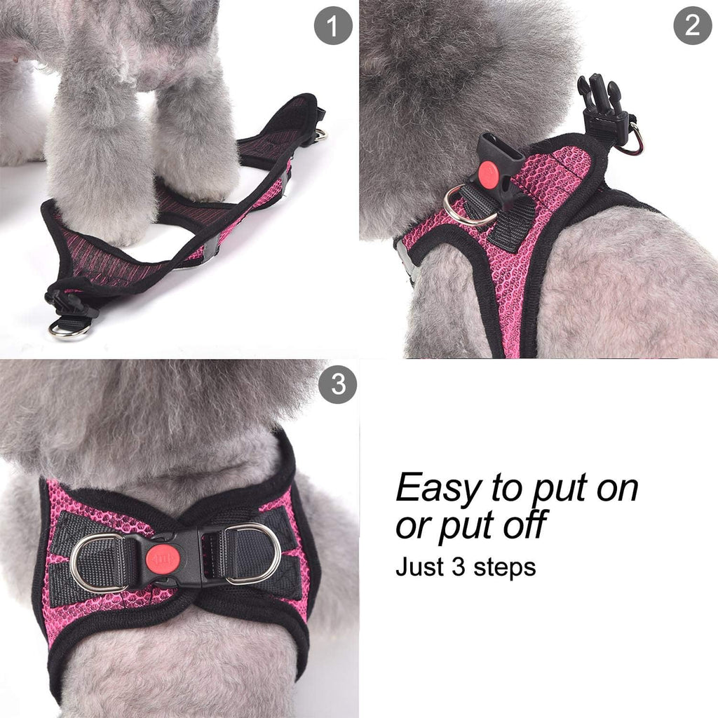 Matilor pet vest step-in design demonstration