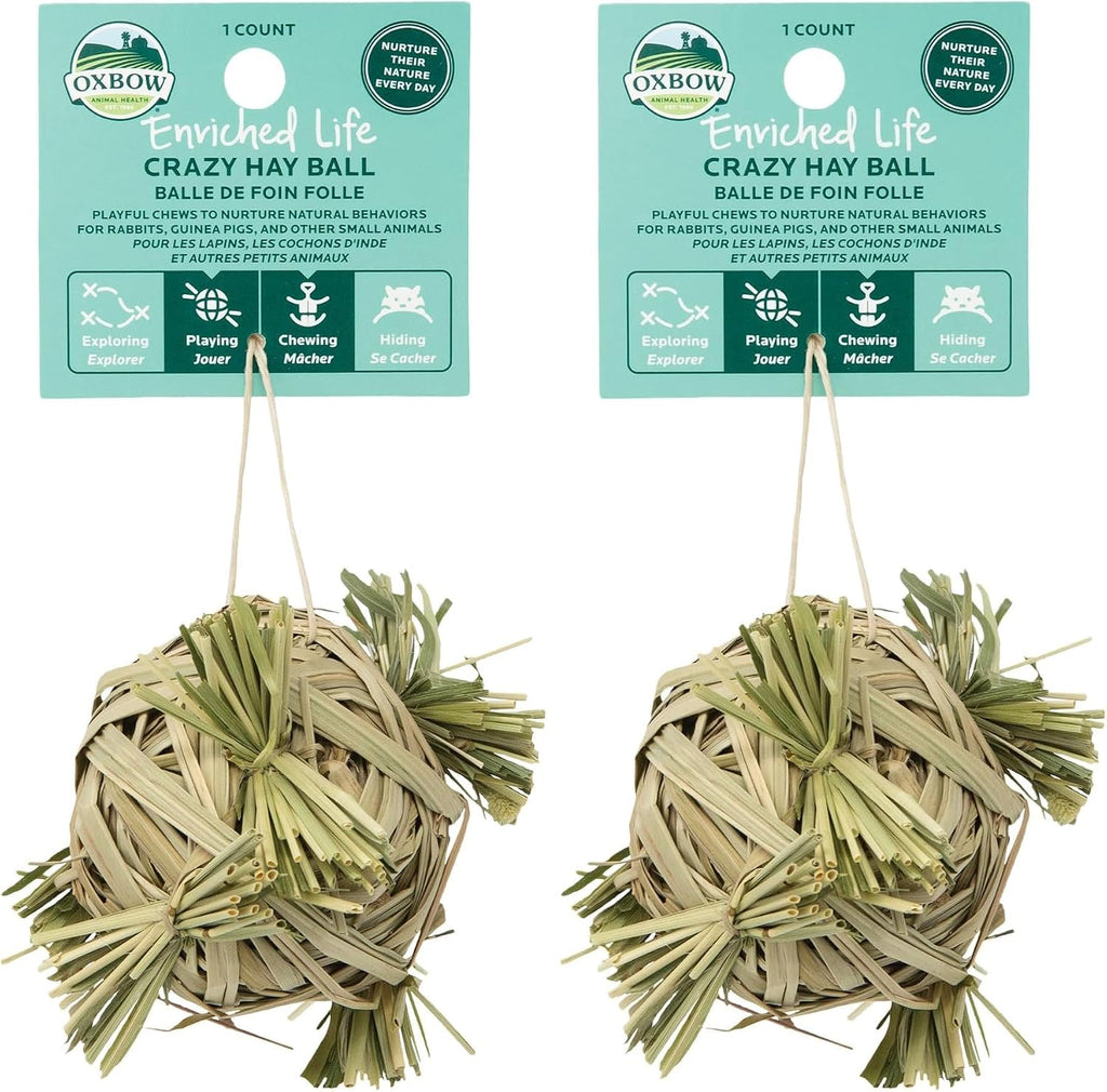 Oxbow Enriched Life Crazy Hay Ball, Rabbit Toys, Guinea Pig Toys, Enrichment for Bunny, Guinea Pig, Hamster, Rabbit, Chinchilla, Rat, Chinchilla Cage Accessories, Small Pet Accessories for Cage - Image 9