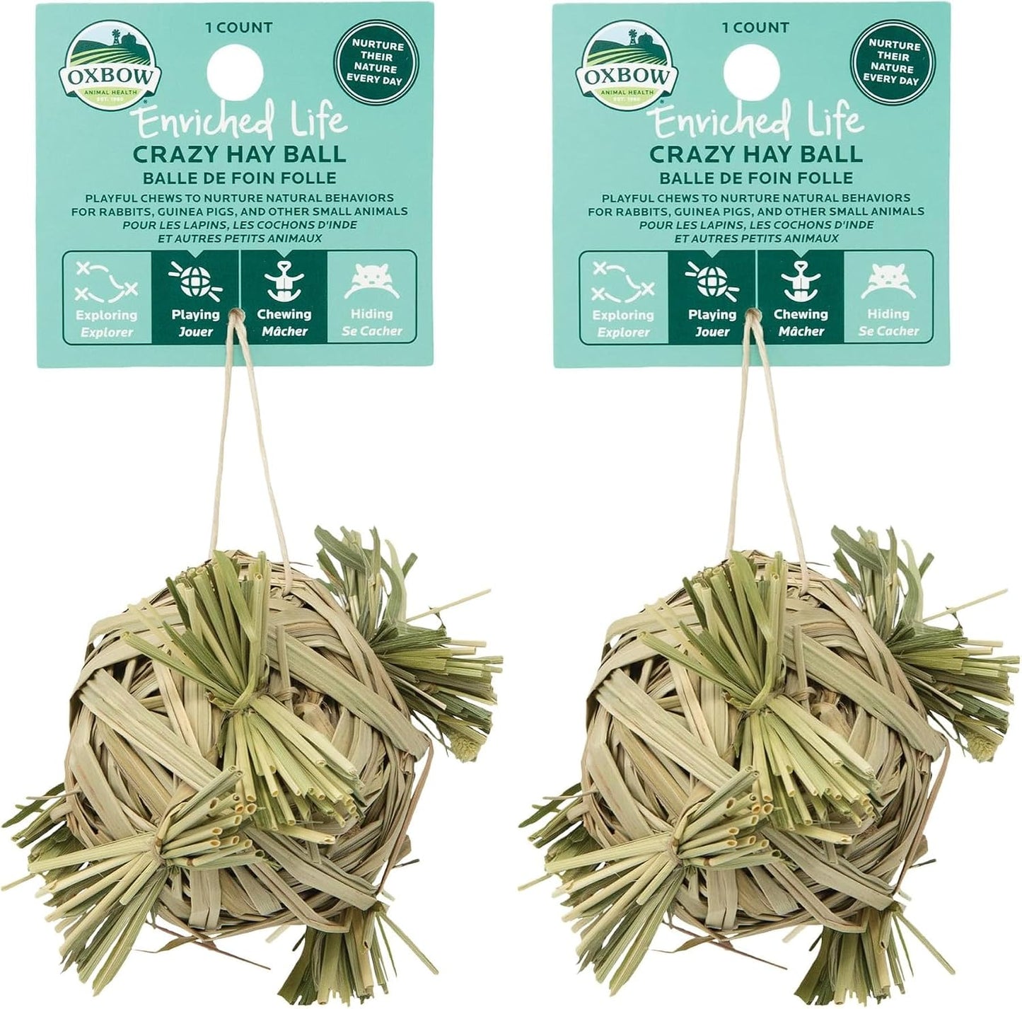 Oxbow Enriched Life Crazy Hay Ball, Rabbit Toys, Guinea Pig Toys, Enrichment for Bunny, Guinea Pig, Hamster, Rabbit, Chinchilla, Rat, Chinchilla Cage Accessories, Small Pet Accessories for Cage - Image 9