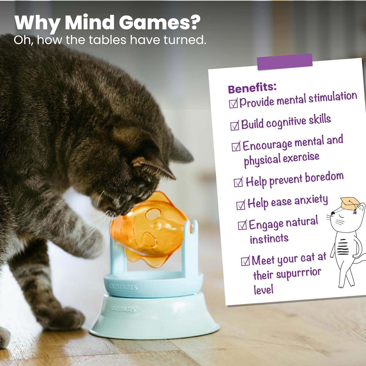 Catstages 2-in-1 spinning fish cat toy packaging displaying instructions and product dimensions.