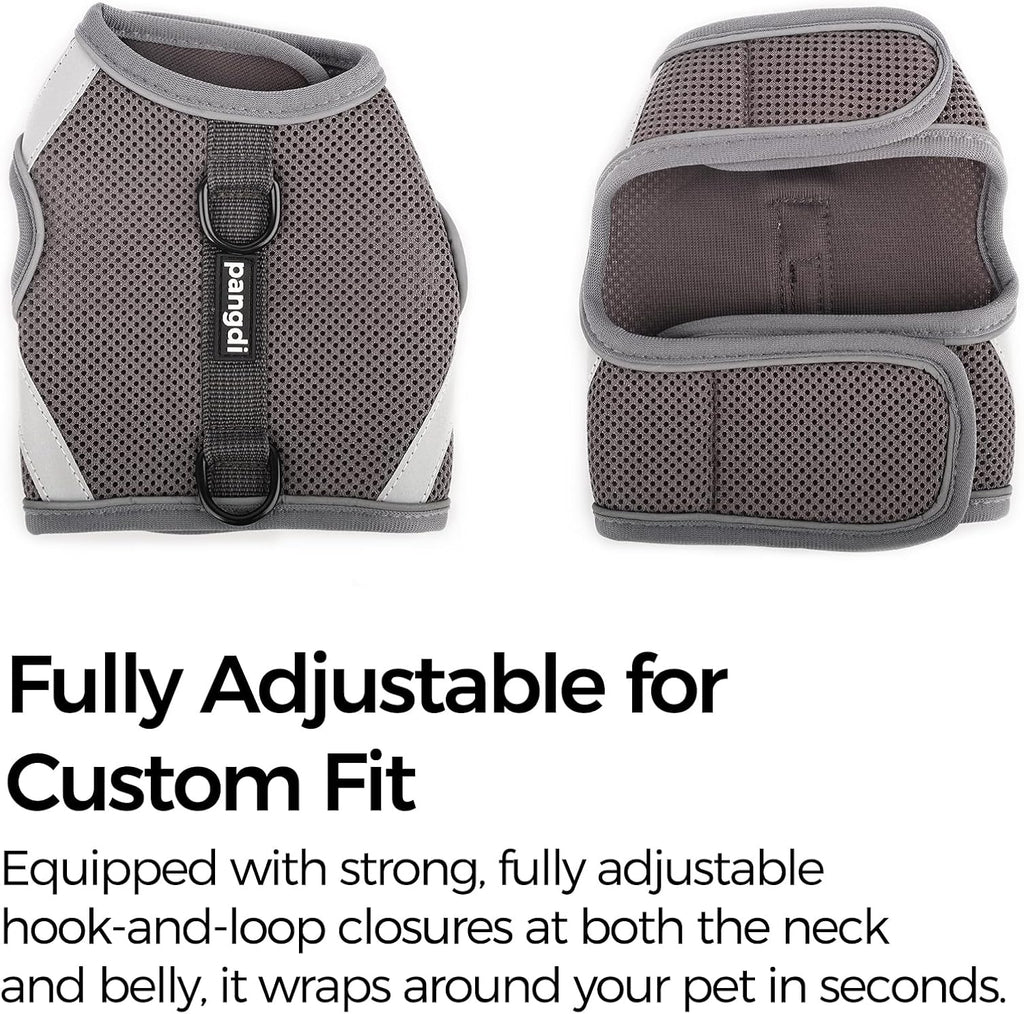 Full set of Pangdi grey cat vest harness with matching leash
