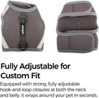 Full set of Pangdi grey cat vest harness with matching leash