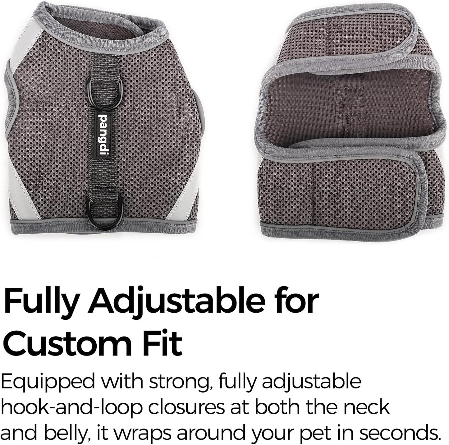 Full set of Pangdi grey cat vest harness with matching leash