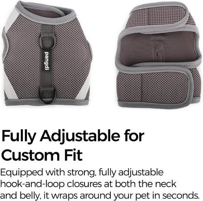 Full set of Pangdi grey cat vest harness with matching leash