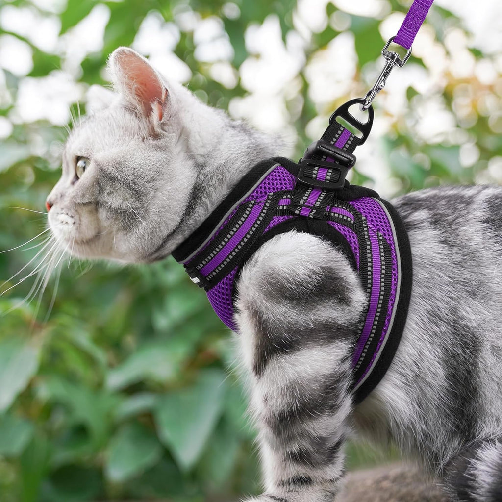rabbitgoo Cat Harness and Leash, Step-in Escape Proof Kitten Harness Set, Soft Comfortable Cat Vest, Easy to Wear and Adjust, Reflective for Safe Outdoor Walking, Purple, Small - Image 9