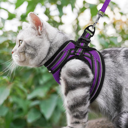 rabbitgoo Cat Harness and Leash, Step-in Escape Proof Kitten Harness Set, Soft Comfortable Cat Vest, Easy to Wear and Adjust, Reflective for Safe Outdoor Walking, Purple, Small - Image 9