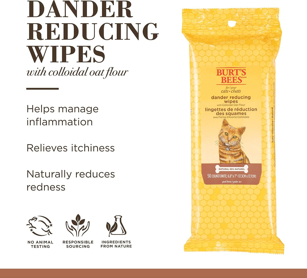 Kitten being gently groomed with Burt's Bees pet wipe