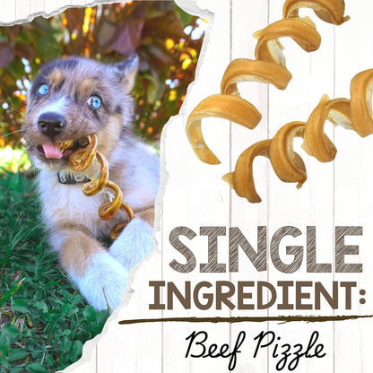 Close up view of authentic single ingredient beef pizzle dog treats showing natural texture