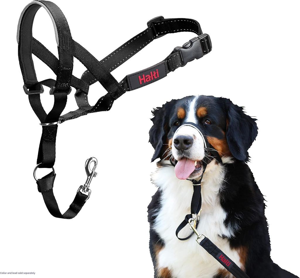 Halti training collar packaging displaying authentic product specifications and size chart