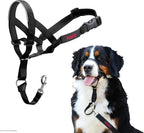Halti training collar packaging displaying authentic product specifications and size chart