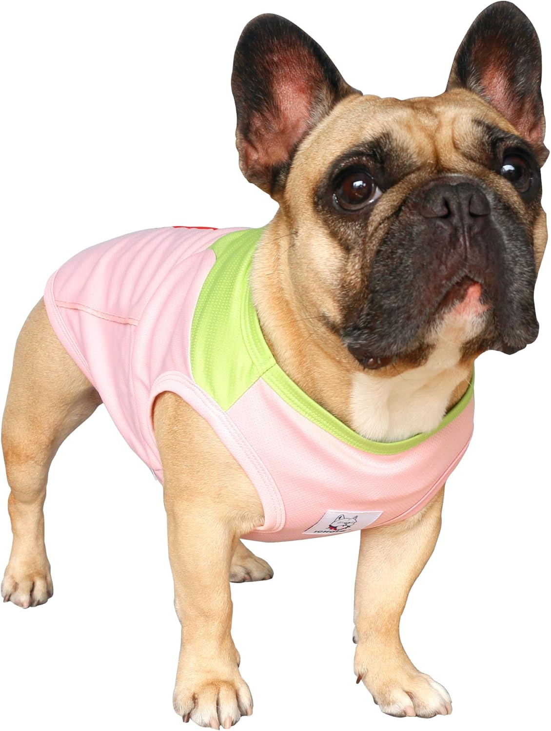 ICHOUE sleeveless dog clothes for barrel chest breeds top view.